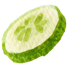 Watercolor painted cucumber. Hand drawn fresh food design elemen