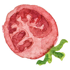 Watercolor painted tomato cherry. Hand drawn fresh food design e