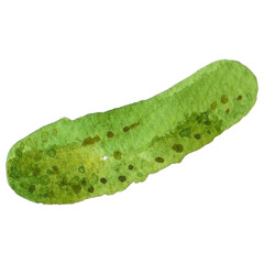 Watercolor painted cucumber. Hand drawn fresh food design element isolated on transparent background.
