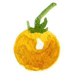 Watercolor painted tomato cherry. Hand drawn fresh food design e