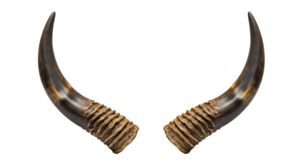 Pair of curved animal horns png isolated on transparent background