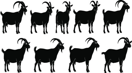 Goat silhouette collection, farm animal illustration, domestic goat clipart, livestock figure, horned animal drawing, mountain goat design, vector goat artwork