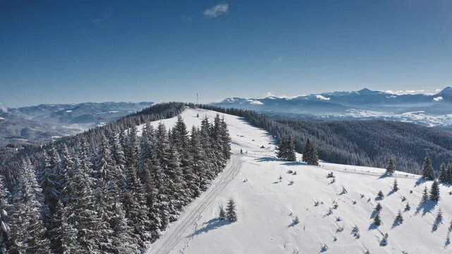 Aerial footage showcasing skiers enjoy winter sports on snowy mountain slope, surrounded by majestic pine trees and breathtaking valley views. Bukovel ski resort. Winter wild nature travel background