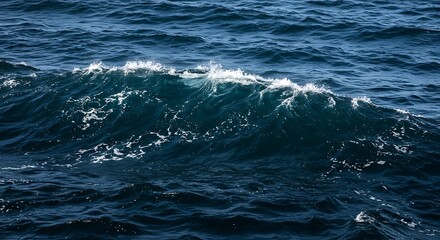 Fototapeta premium Ocean's Whisper