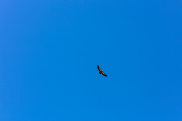 Mountain landscape near Casares with green hills and blue sky. Casares, Andalusia Spain. 5 September 2025.
