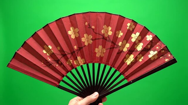 hand holding fan on green screen