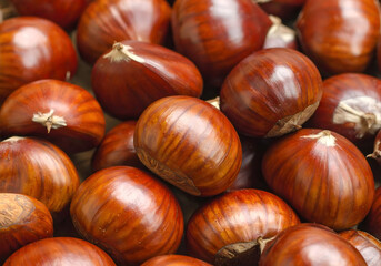 Obraz premium close-up of raw chestnuts