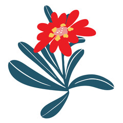 Red Field Flower Clipart – Hand Drawn Floral Vector SVG Illustration, Separate Elements for Design