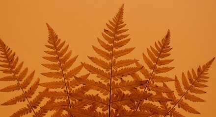 Naklejka premium Symmetrical Fern Fronds in Warm Tones Against a Solid Background