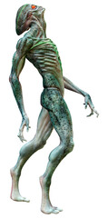 3D Rendering Green Alien on White