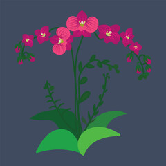 Obraz premium Illustration of Pink Orchid Flower with Green Leaves on Dark Background
