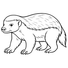 A honey badger illustration vector style coloring page