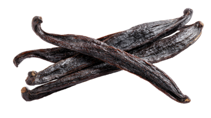 Dark, dried vanilla beans crossed