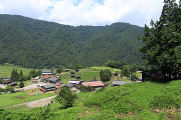 種蔵