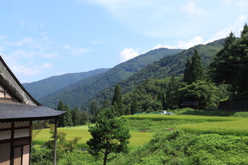 種蔵