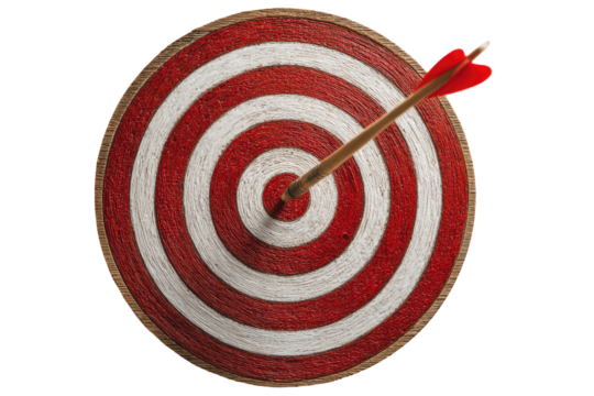 Target with arrow in the bullseye.  Red and white concentric circles
