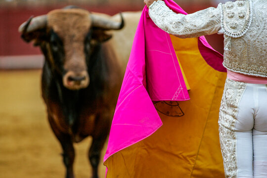 Matador challenges bull with capote at Real Maestranza Bullring