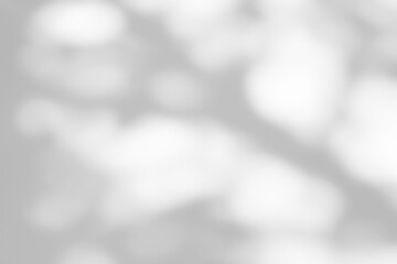 Shadow of leaves tree plant overlay on white wall. Sunlight effect shadow on the wall. Minimal blurred backdrop backgrounds. Summer tropical surface background.