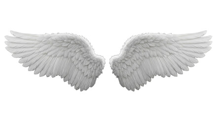 transparent angel wings with soft layered feathers, symmetrically spread against a seamless deep black background with high-contrast studio lighting, concept of purity and divinity