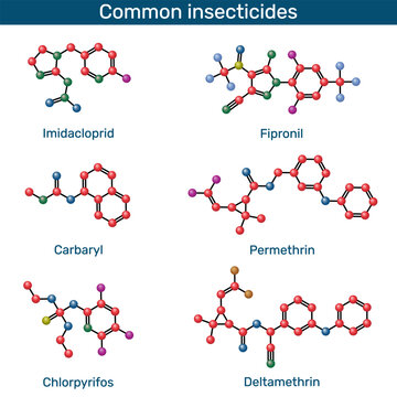 Common insecticides molecule..  Ball-and-stick models. Imidacloprid, fipronil, carbaryl, permethrin, chlorpyrifos, deltamethrin