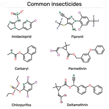 Common insecticides molecule. Imidacloprid, fipronil, carbaryl, permethrin, chlorpyrifos, deltamethrin