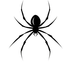 Obraz premium Silhouette of a Black Spider on a Transparent Background Showcasing Intricate Leg Structure and Eerie Features