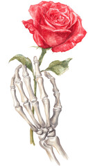Skeleton Hand Holding a Beautiful Red Rose Symbolizing Life and Death with a Transparent Background