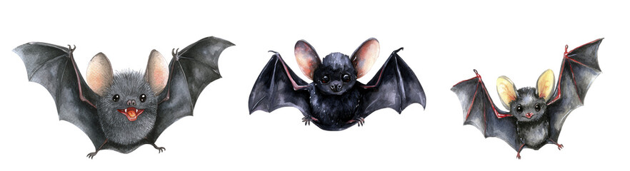 Three Illustrative Bats in Various Positions with Translucent Wings Against a Transparent Background