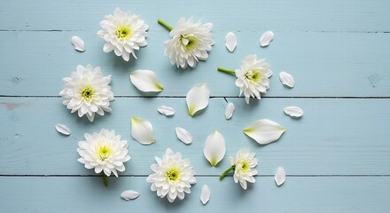 Fototapeta premium Whispers of Spring