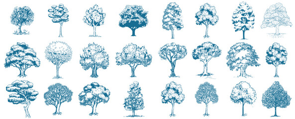 Forest Tree Illustrations Vintage Nature vector