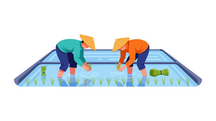 Cultivating Harvest: Two farmers, immersed in a watery rice paddy, diligently tend to the growing crops, embodying the essence of rural life and agricultural practices.