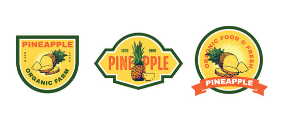 fruit pineapple badge design