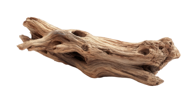 Driftwood piece, light brown, irregular shape,  smooth texture
