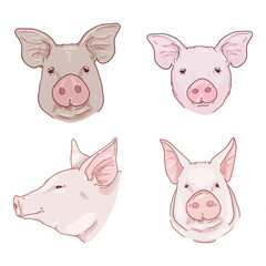 Vector Cartoon Set of Pig Heads