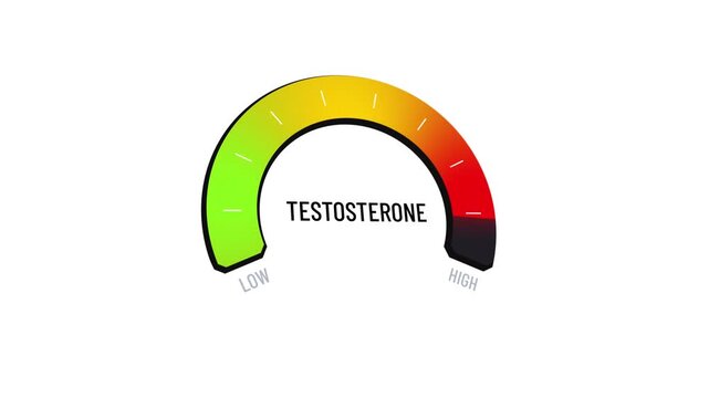 Testosterone meter digital gauge presentation moving from high to low, male hormone level indicator changes from healthy full to deficiency on dashboard in digital display with copy space.