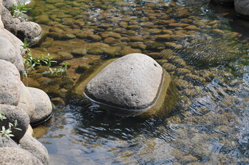 A rock is sitting in a body of water. The water is murky and the rock is partially submerged