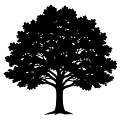 A striking black silhouette of a mature deciduous tree with a full canopy of leaves against a clean white background