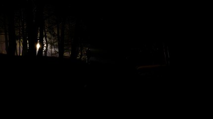 Mysterious Forest Scene at Night with Illuminated Clearing and Shadows