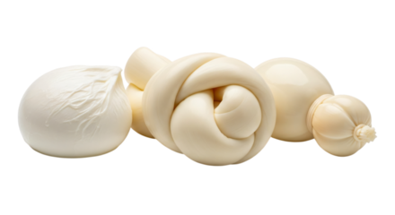 Various forms of mozzarella cheese isolated on transparent background
