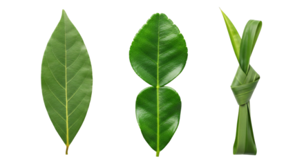 Green leaves and a folded leaf decoration isolated on white isolated on transparent background
