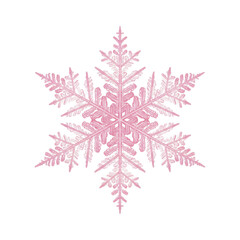 Pink snowflake crystallizing on transparent background representing winter wonderland