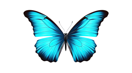 Beautiful blue butterfly with delicate wings and detailed natural insect pattern isolated on white background