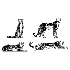 Set of four cheetah illustrations in different poses black and white line art. © Pemburu