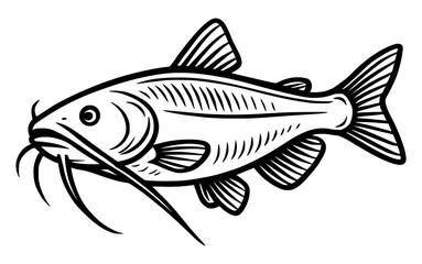 Vector line art illustration Of A Catfish.