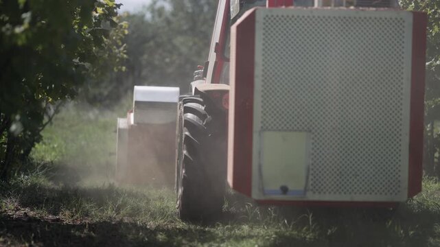 Combine tractor harvester collect harvest crops on the field of wallnut and hazelnut farm, cinematic shot