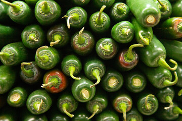 The jalapeño pepper, known as 