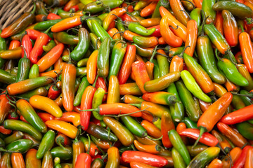 The jalapeño pepper, known as 