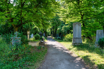 Fußweg über den  alten Südfriedhof München