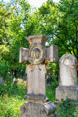 schöne alte Grabsteine zwischen Sträuchern  Alter Südfriedhof München