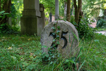 schöne alte Feldnummer am Wegesrand Alter Südfriedhof München